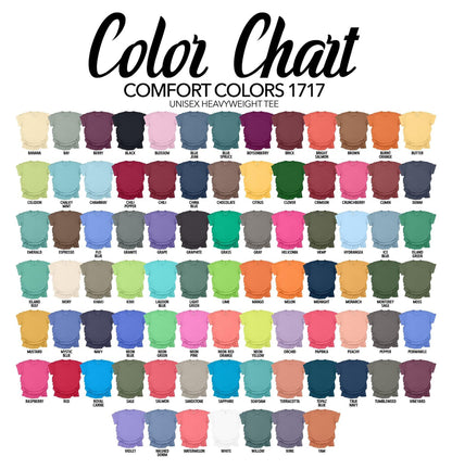 Denver Nuggets Rainbow Logo - EMBROIDERED