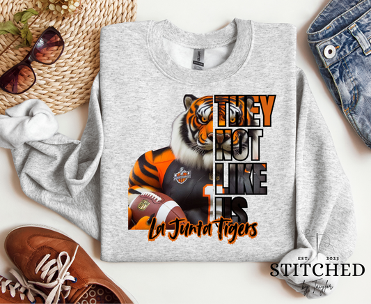 LJ Tigers Football - TNLU (printed)