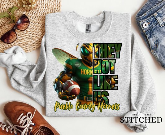 Pueblo County Hornets Football - TNLU (printed)