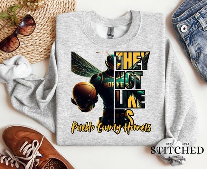 Pueblo County Hornets Basketball - TNLU (printed)